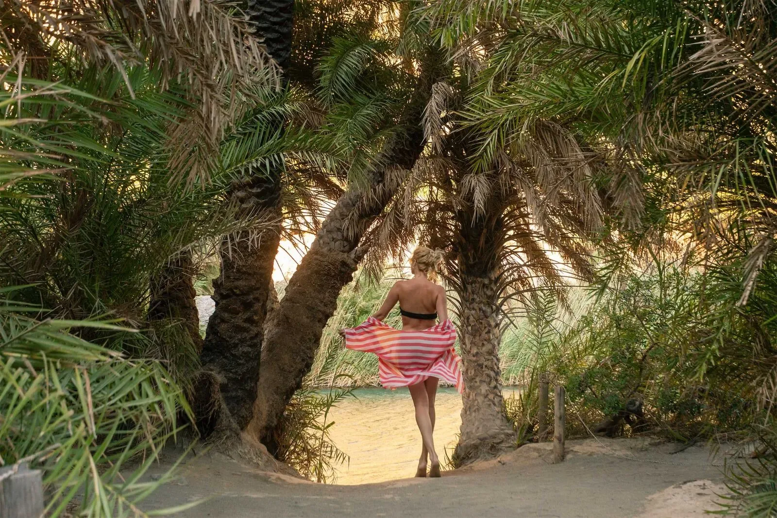 The palm grove at Preveli beach